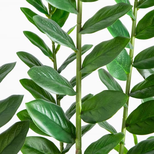 6ft. Artificial Zamioculcas Plant